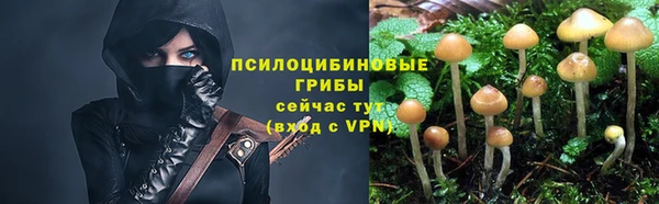 метадон Заводоуковск