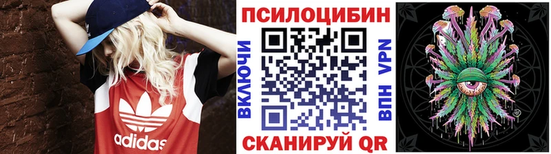купить   Сретенск  Псилоцибиновые грибы GOLDEN TEACHER 