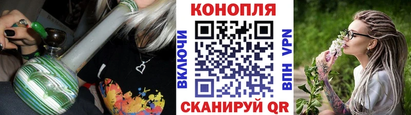 купить наркотики сайты  Сретенск  Канабис OG Kush 